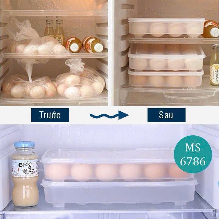 HỘP ĐỰNG TRỨNG 24 QUẢ SIÊU TIỆN LỢI VIỆT NHẬT 6786